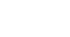 Vision