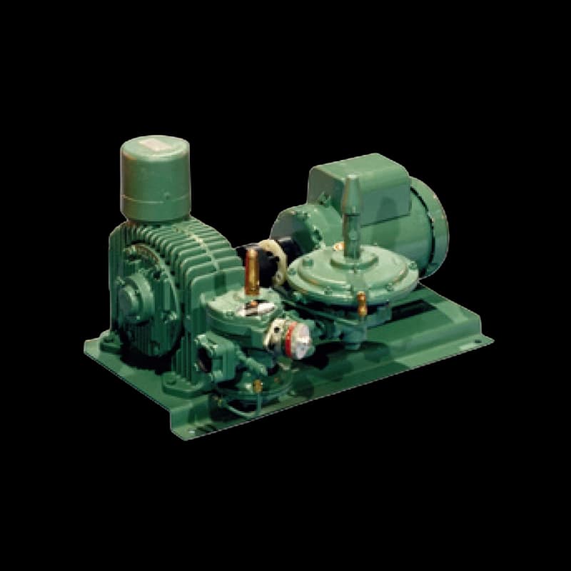 CAV Combustion Control System